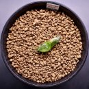 당거리농장 이미지