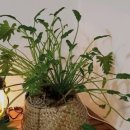 돌집가든 이미지