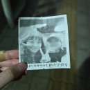 경기도 수원시 장안구 정조로1110번길 이미지