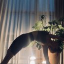 엑스티브 휘트니스 이미지