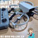 뽐뿌 | DJI FLIP 플립 제품 발표회 참관 후기 - 뽐뿌는 오지만 NEO로 만족할래
