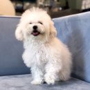 메르시동물병원 이미지