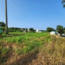 대포동-5 이미지