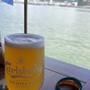 돌고래바나나노래연습장 | 하롱베이 신상 클룩 돌고래 크루즈 내돈내산 럭셔리 가족 여행