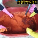 영월한반도농장 네이버블로그