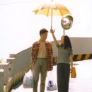 개라다이스 이미지