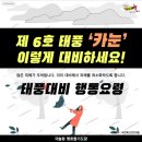 맹호 합기도 이미지