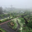 아카시아집 민박 이미지