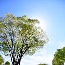 3.1운동비 | 진주 여행 진주성 촉석루