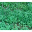 놀부농장 이미지