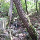 숲이랑농원 이미지