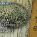 코리아헌터 이미지