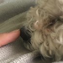 고*호 - 안양시 만안구 연현로79번길 | 고*호