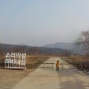 힐링이 되는 비내섬 | 충주 걷기 좋은 길 1시간 소요 충주여행 비내길 지도 비내섬 트래킹 후기