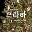 상연동광장 | [프라하] 여자 혼자 동유럽 여행_바츨라프 광장, 하벨 시장, 크리스마스 마켓, 프라하 대중교통 이용 방법