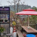 국토종주자전거길1-560 네이버블로그