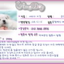 세리빌
