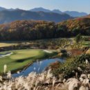 여주-0300 이미지