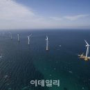 탐라태양광발전소 이미지