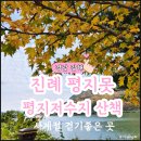 평지못 공중화장실 이미지
