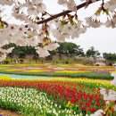 비볼코리아 이미지