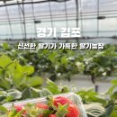 영일농장 이미지