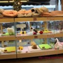 그루밍가든 이미지