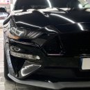 제니스스팀세차 | 창원디테일링세차 머스탱 디테일링 세차