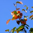 임란북천전적지 이미지