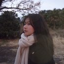 2021-03-0017 - 서산시 | 2021-03-0017