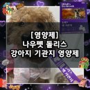 늘, 고운펫 | [영양제] 강아지 기관지 영양제 추천 / 나우펫 돌리스 강아지 기관지 영양제