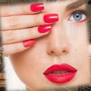 대한장식 이미지