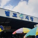 벌교엔마트 이미지