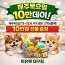 미유펫대구 강아지분양고양이분양(도그플러스동물병원) 이미지