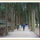 명서다리 앞 버스정류소 이미지