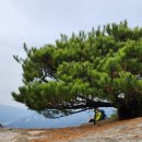 신검사