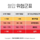 캐비어동물메디컬센터 이미지