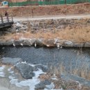 백로세탁소 이미지