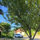 스테이서화 이미지