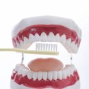 알프스치과기공소 이미지