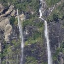 뉴질랜드 밀포드 사운드에서^^ 이미지