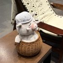 덕구온천콘도 | 국내 겨울 여행지 추천 - 울진 덕구온천콘도 (덕구온천리조트) 스탠다드 26평 후기, 총각수산 회 포장