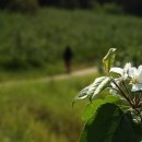 만산농장 이미지