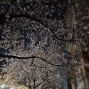 마상로 네이버블로그