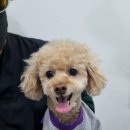 민트동물병원 이미지