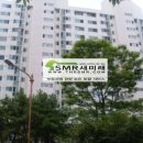 대명체육관(태권도) 이미지