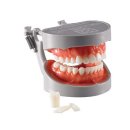 한일 soft 이미지