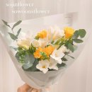 후리지아 이미지