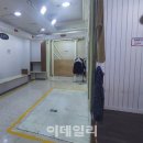 영광패션 이데일리