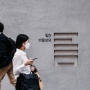 일상비일상 이미지